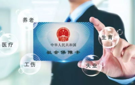 公司社保,流程、注意事项与合规经营指南