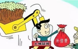 土地赔偿法,保障权益，平衡发展的法律基石