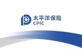 中国太平洋人寿保险,守护您的未来，构建和谐生活